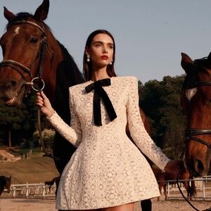 NWOT $750 Bronx and Banco Courtney Mini Dress